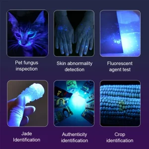 15W High power UV 395/365nm USB Rechargeable Flashlight Cat Dog Urine Tinea Ore Money Scorpion Fluorescence Marker Purple Light